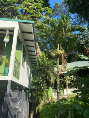 Luxury Jungle on a budget Wisdom BnB
